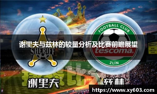 U8国际平台