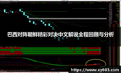 巴西对阵朝鲜精彩对决中文解说全程回顾与分析