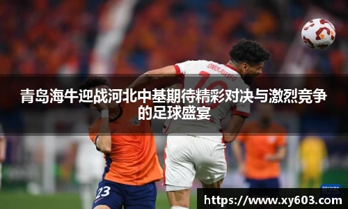 U8国际平台